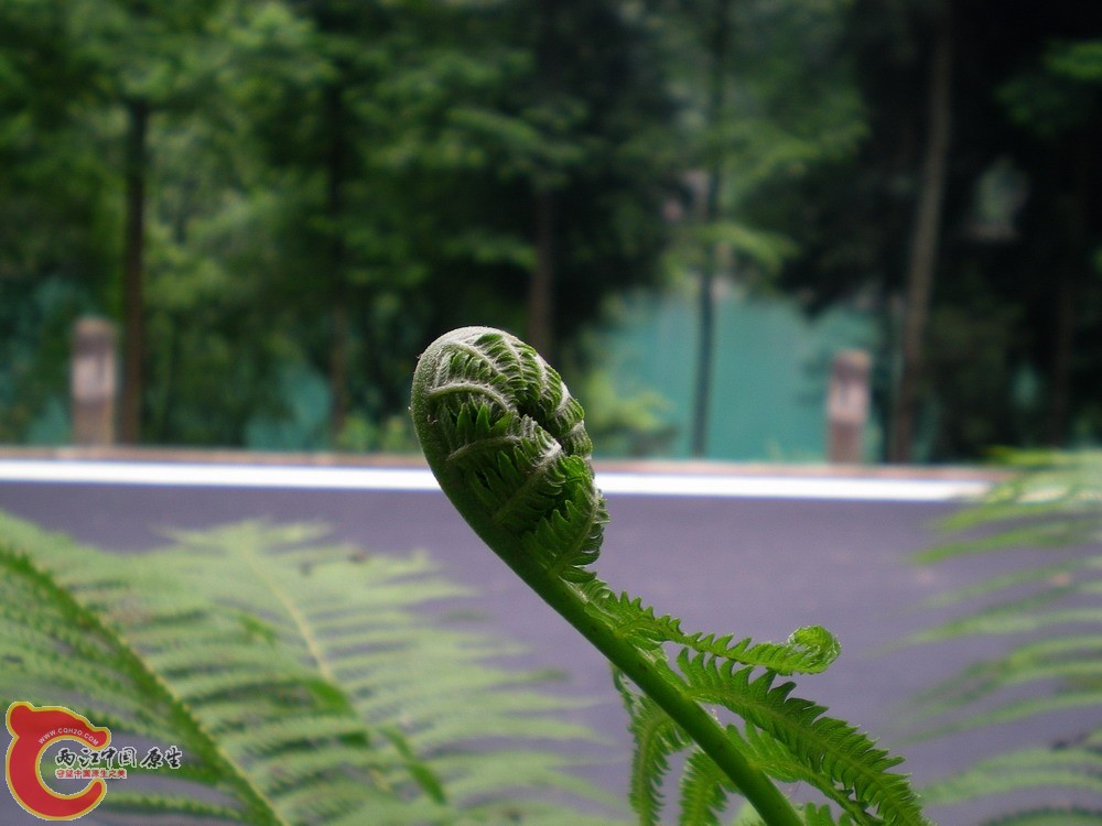 DSCN2675.jpg1.jpg