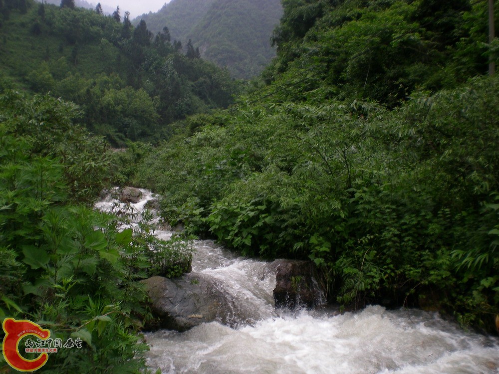 DSCN2681.jpg1.jpg