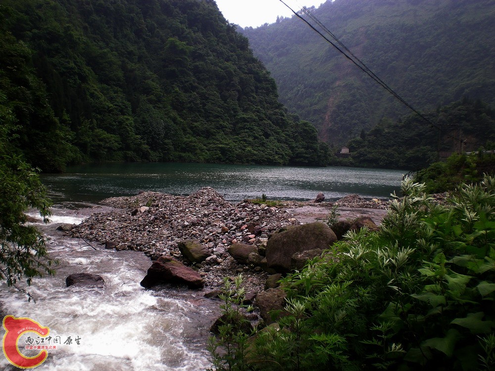 DSCN2682.jpg1.jpg