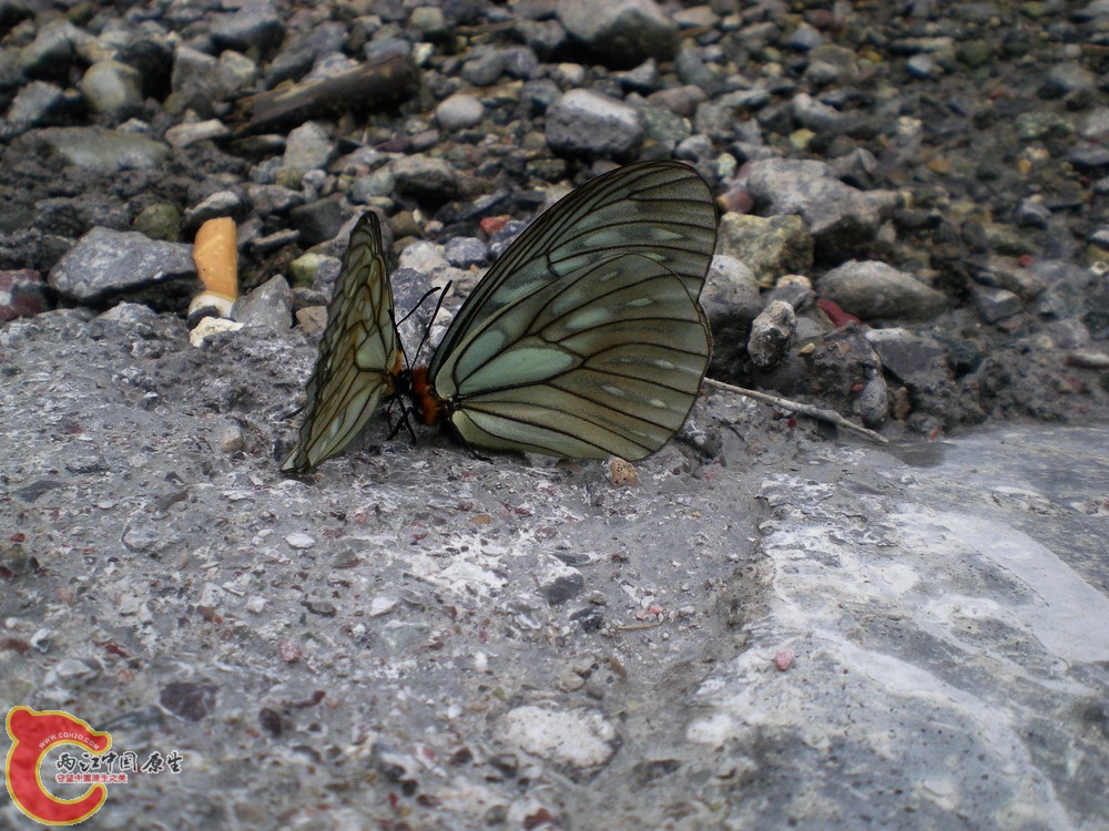DSCN2686.jpg1.jpg1.jpg