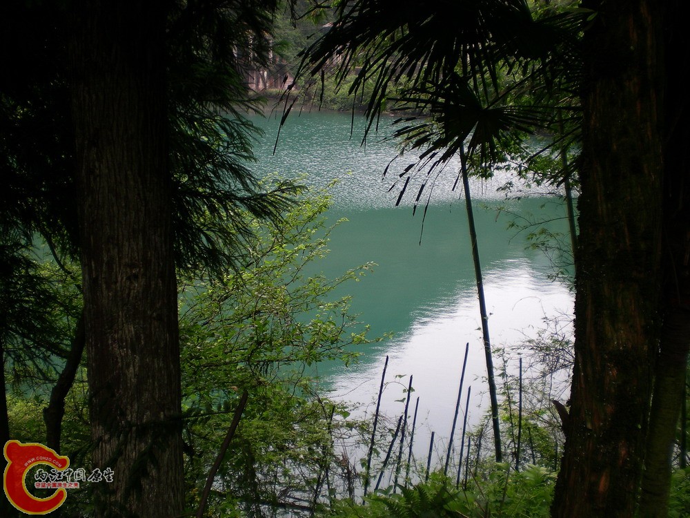 DSCN2692.jpg1.jpg