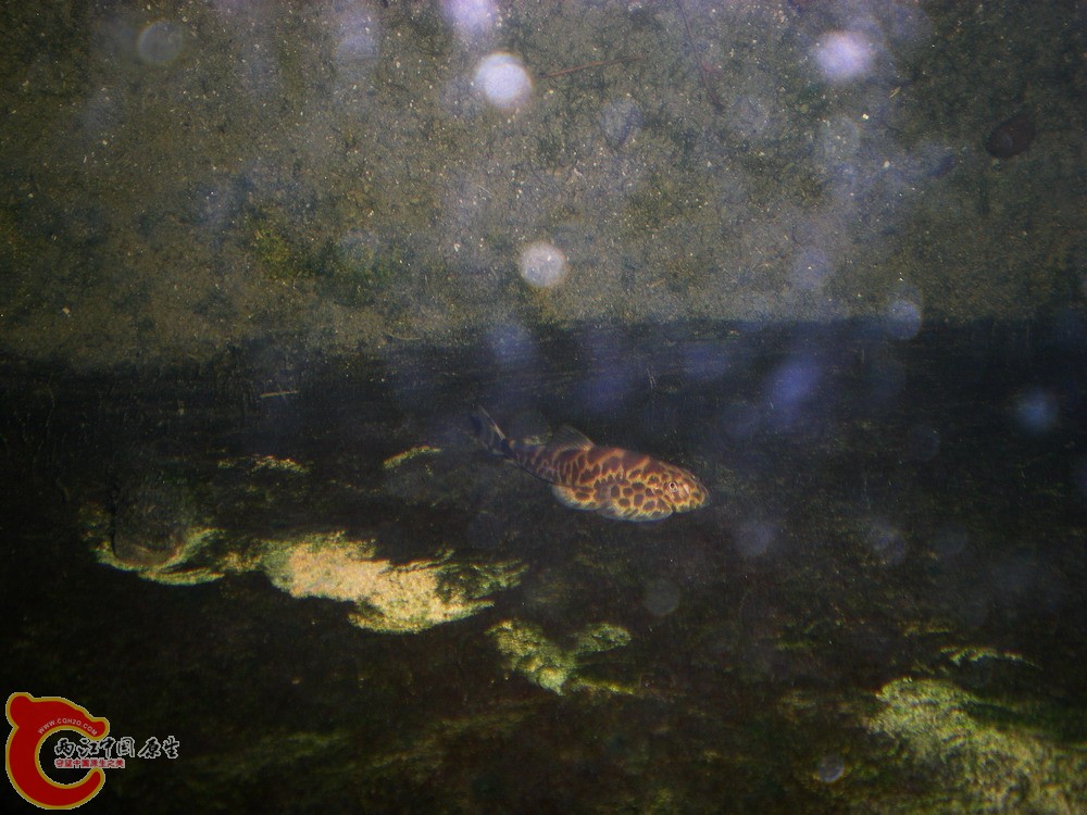 DSCN2693.jpg1.jpg
