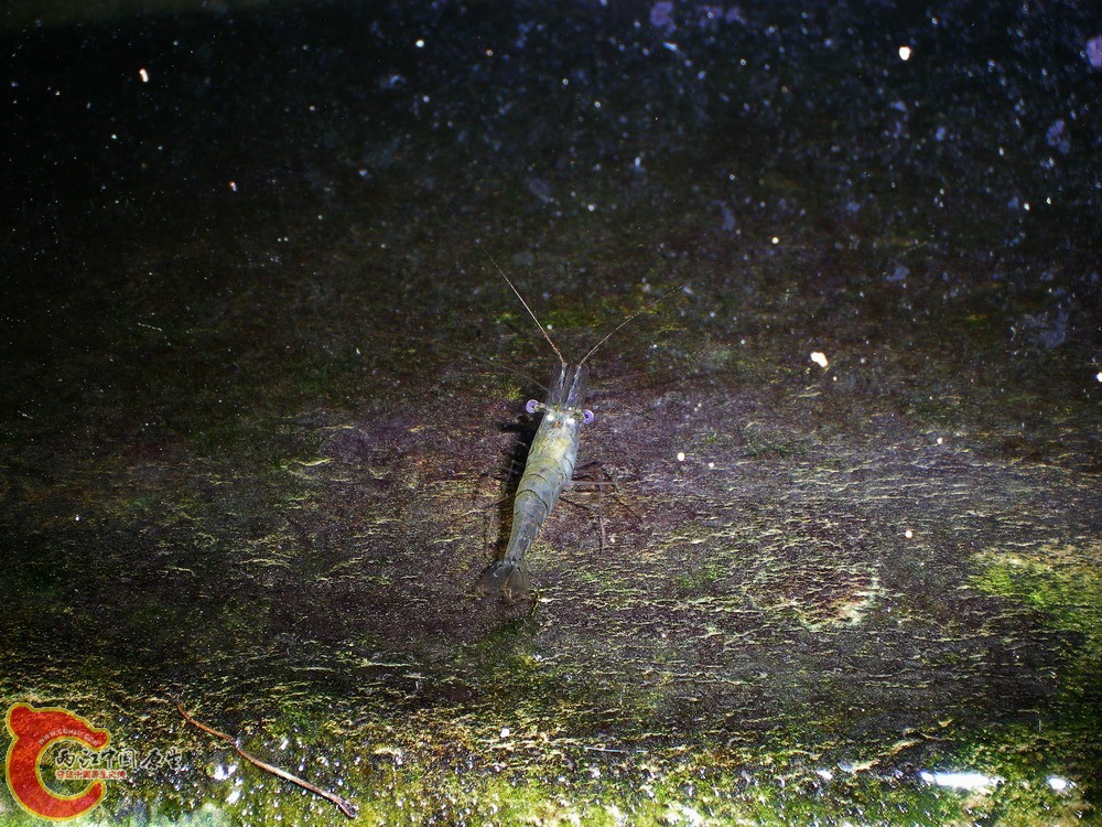 DSCN2698.jpg1.jpg