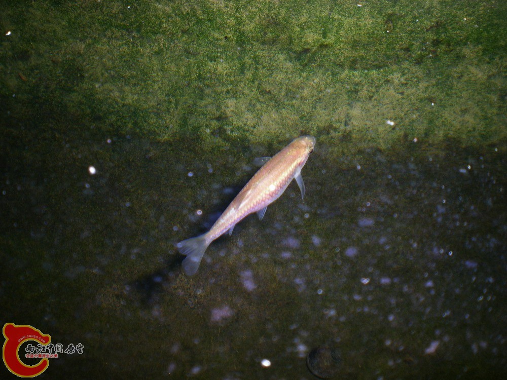 DSCN2702.jpg1.jpg