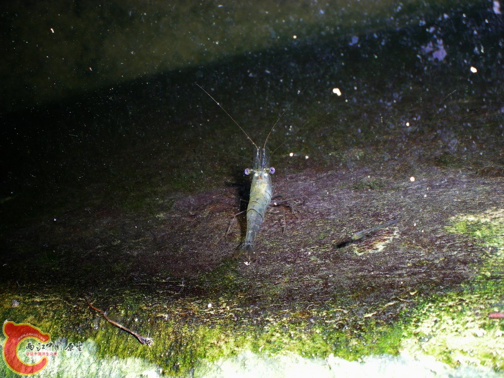 DSCN2701.jpg1.jpg