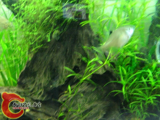 IMG_3898.JPG