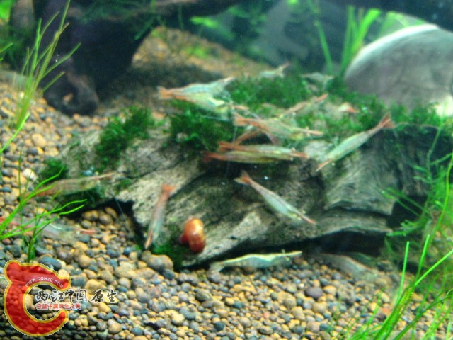 IMG_3907.JPG