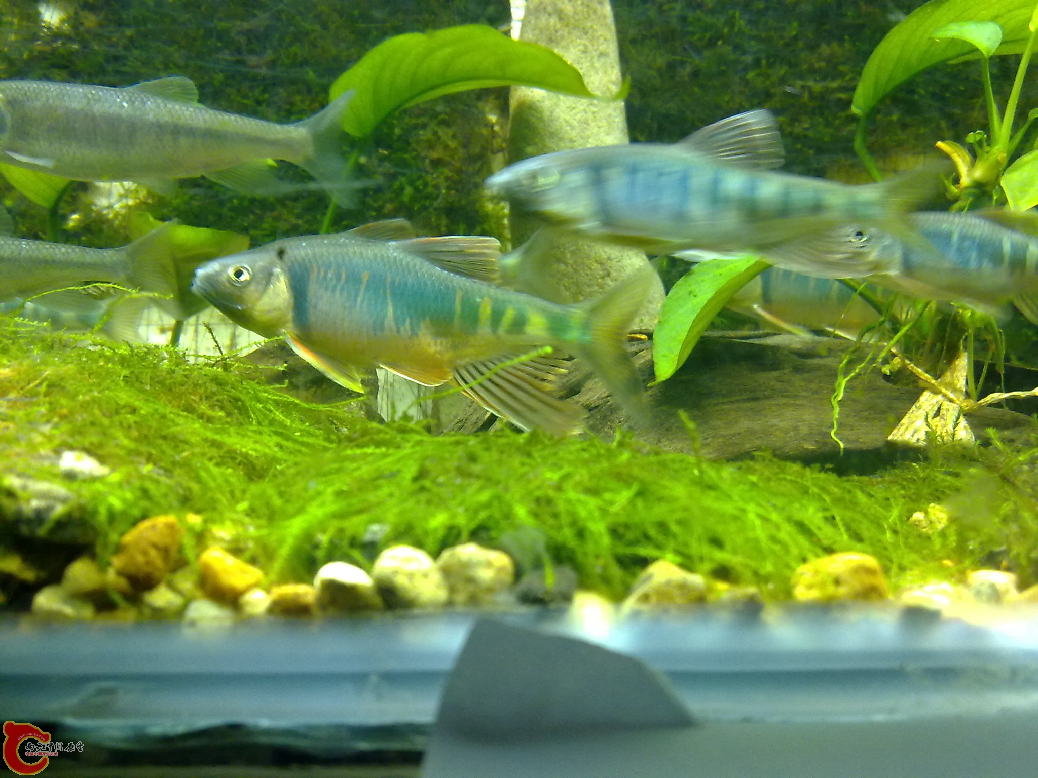20100611914.jpg