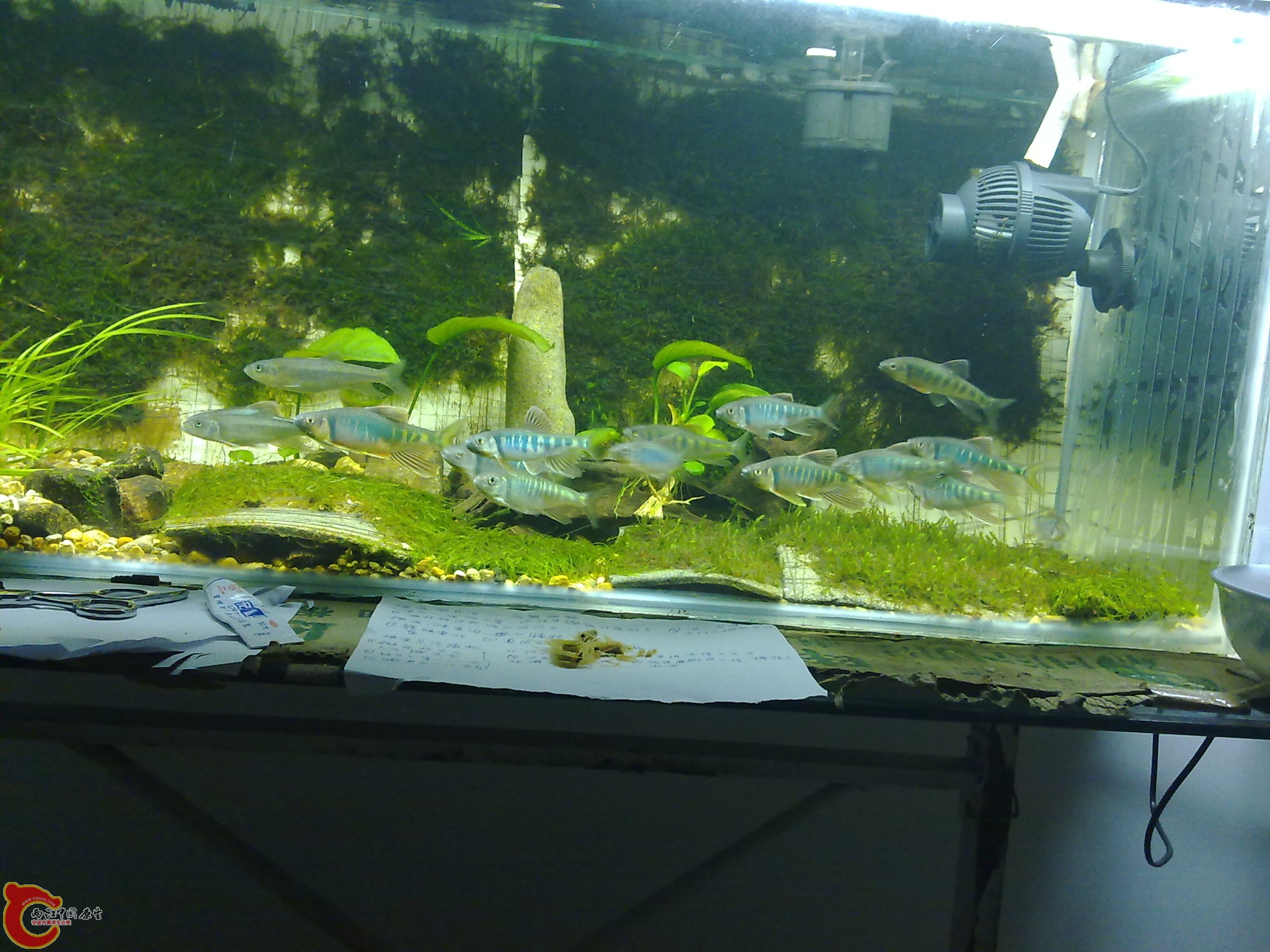 20100611935.jpg