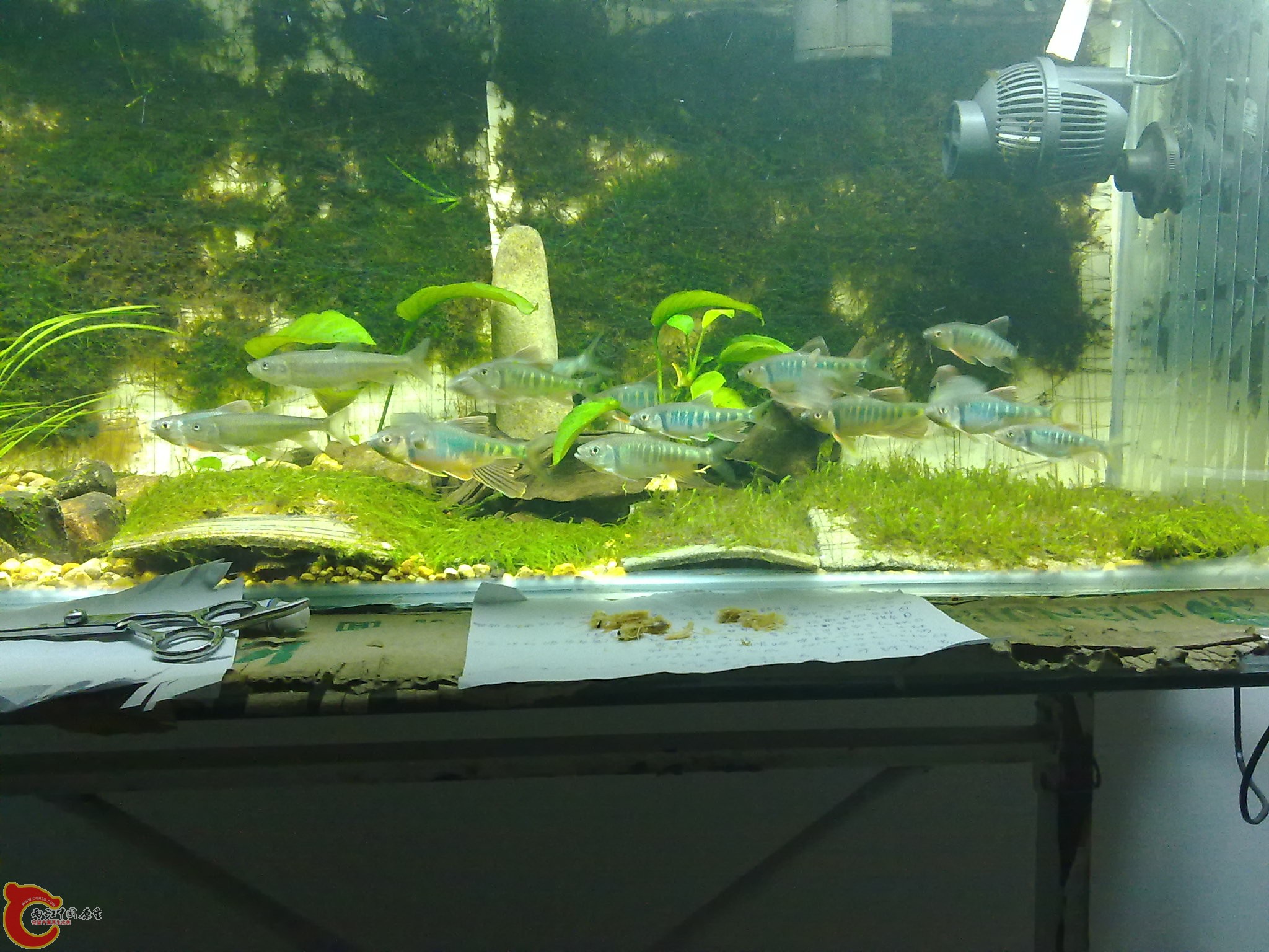 20100611920.jpg