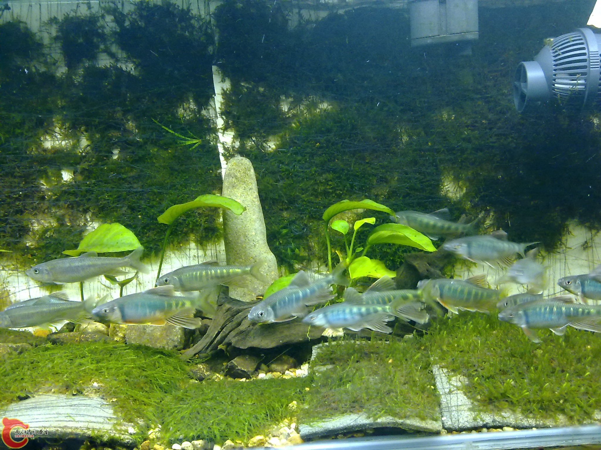 20100611932.jpg