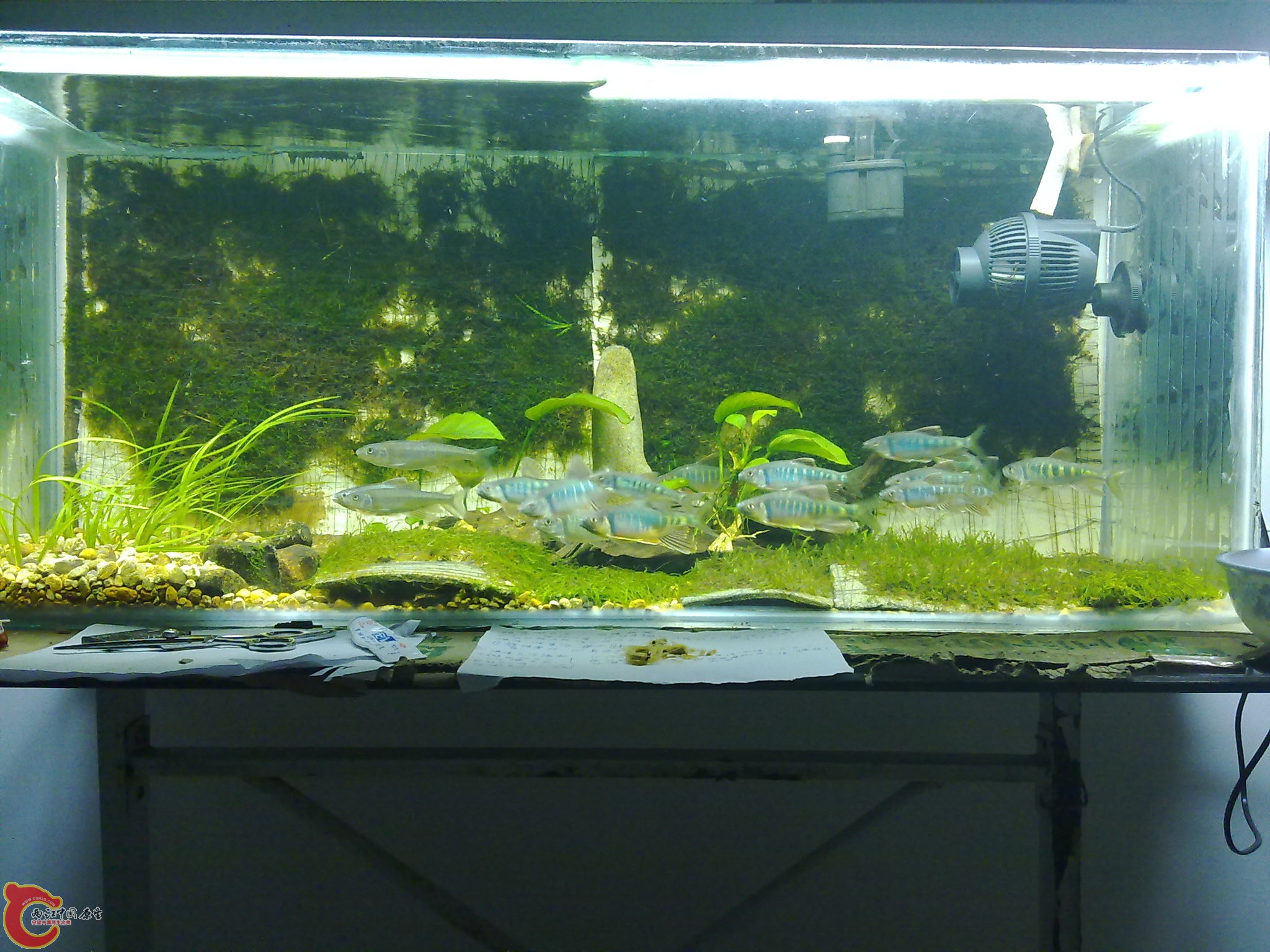 20100611949.jpg