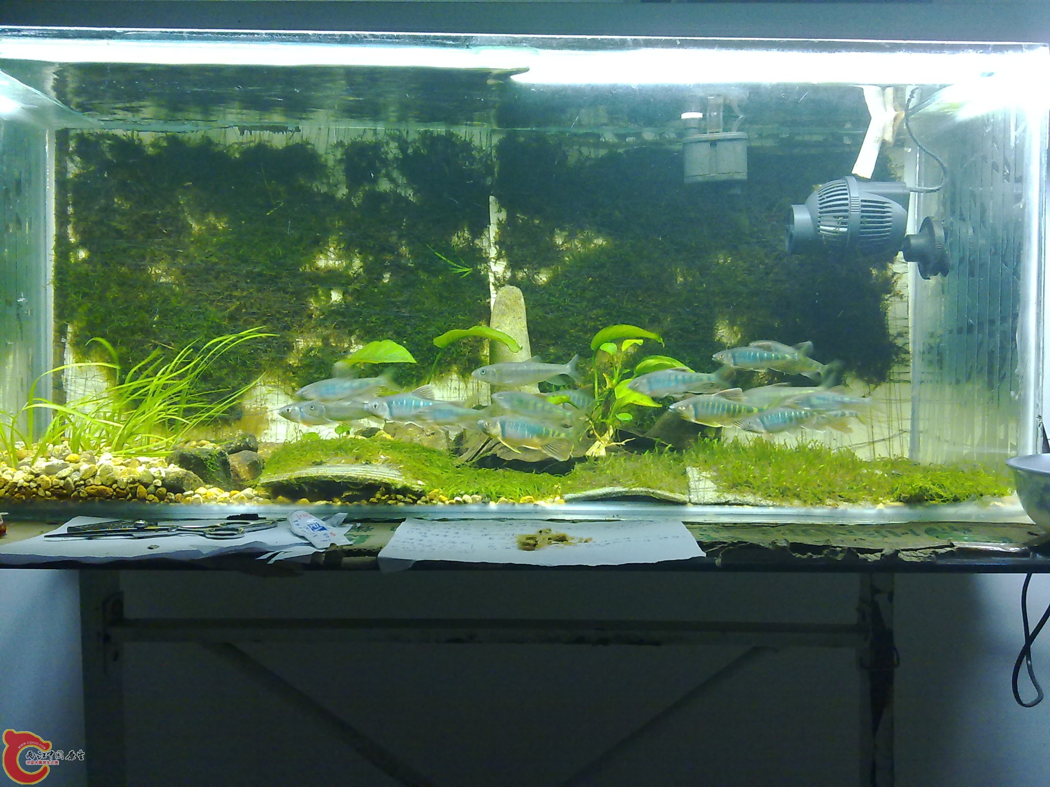 20100611950.jpg