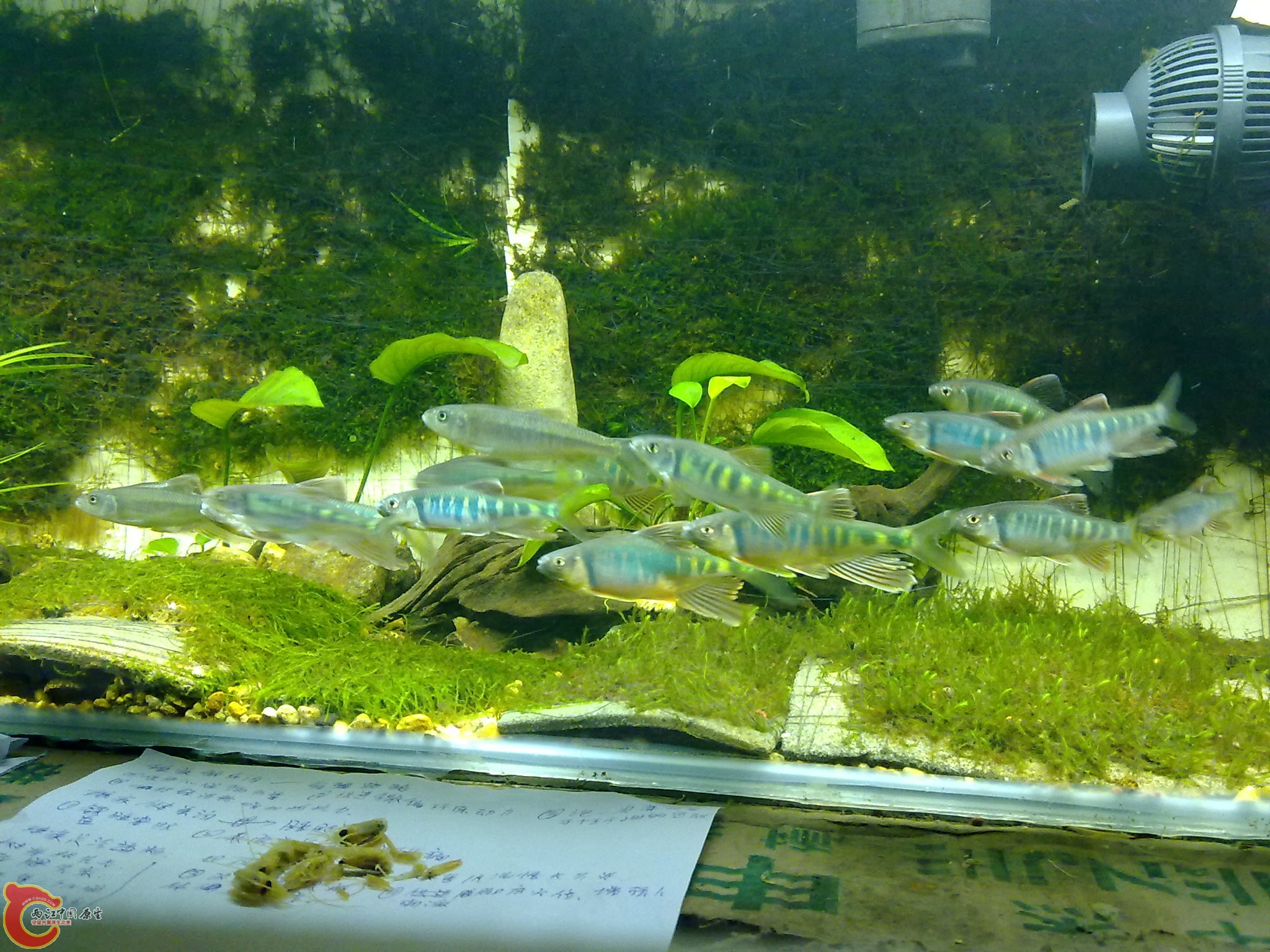 20100611962.jpg