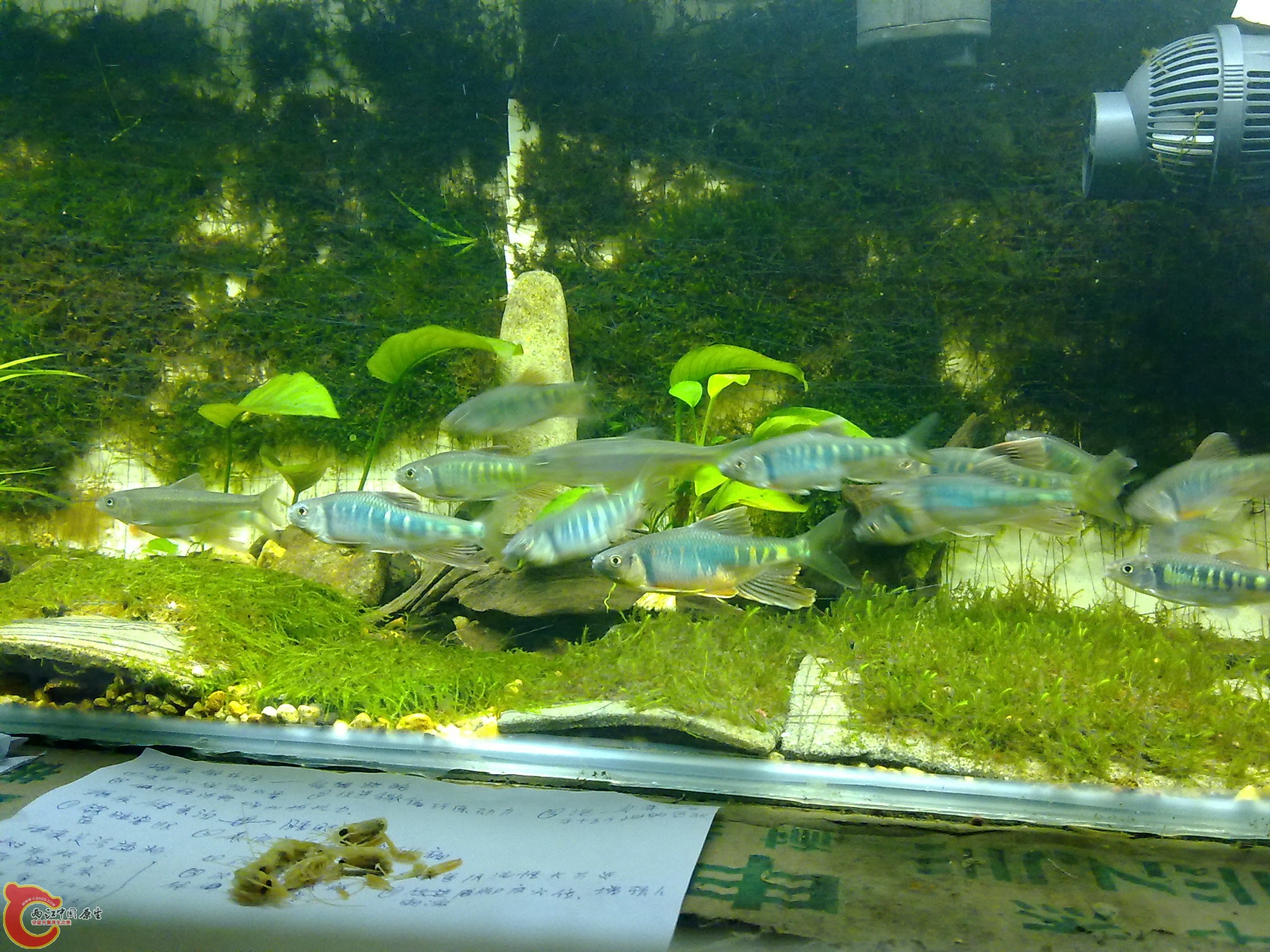 20100611963.jpg