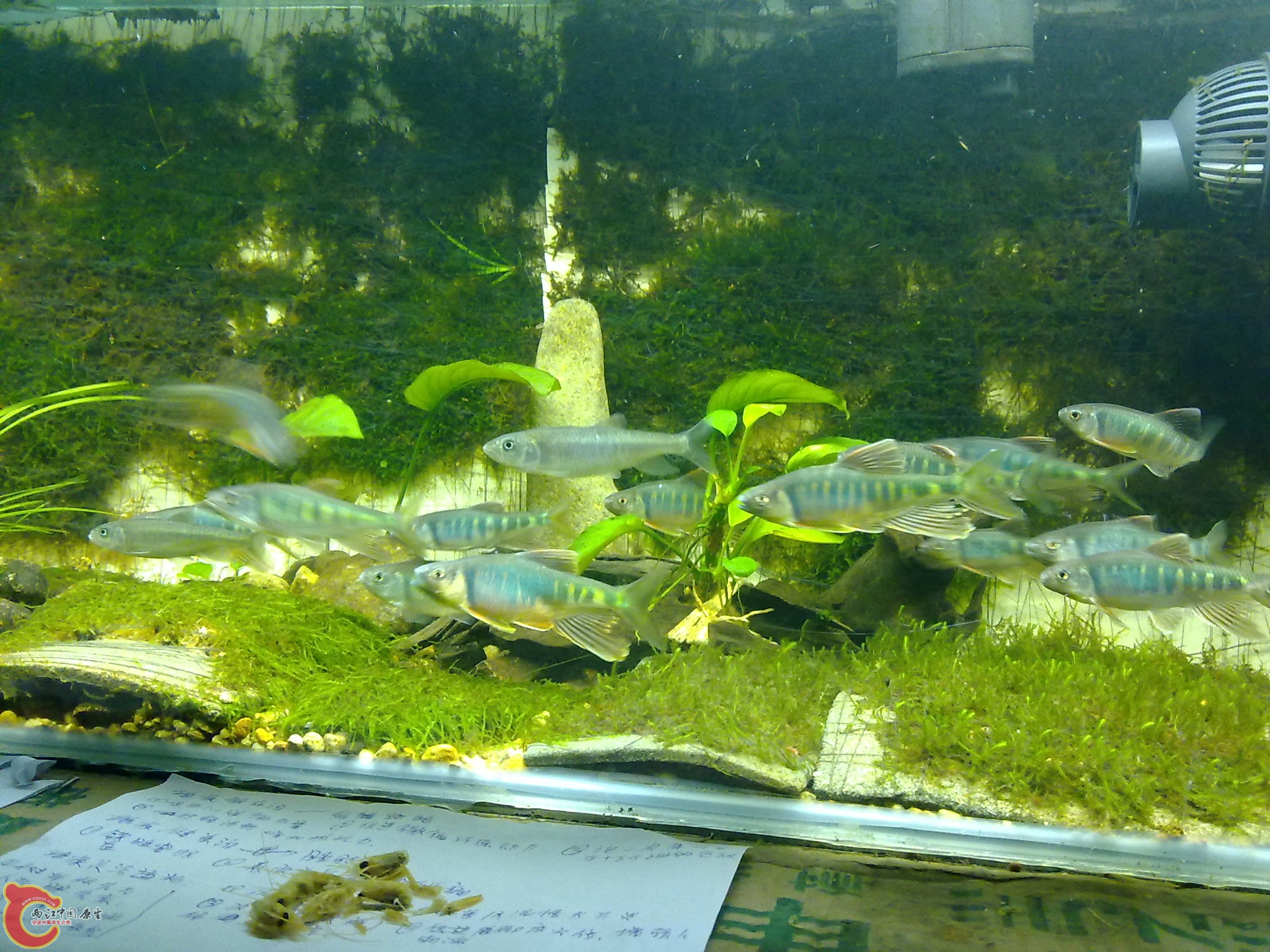 20100611959.jpg