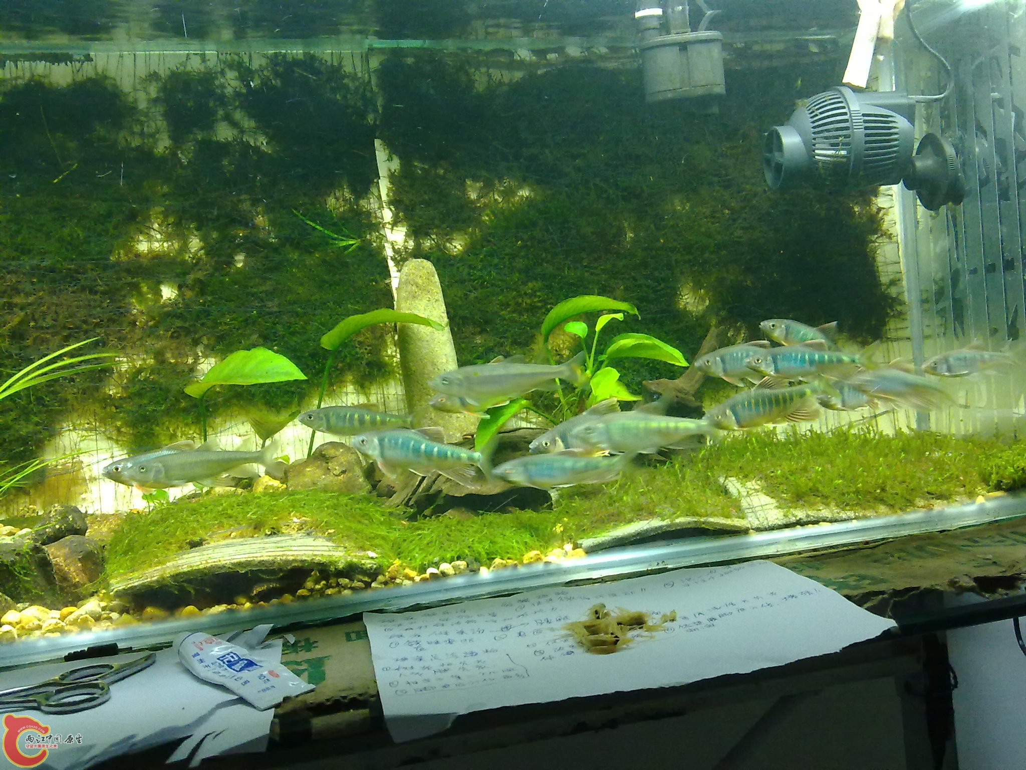 20100611957.jpg