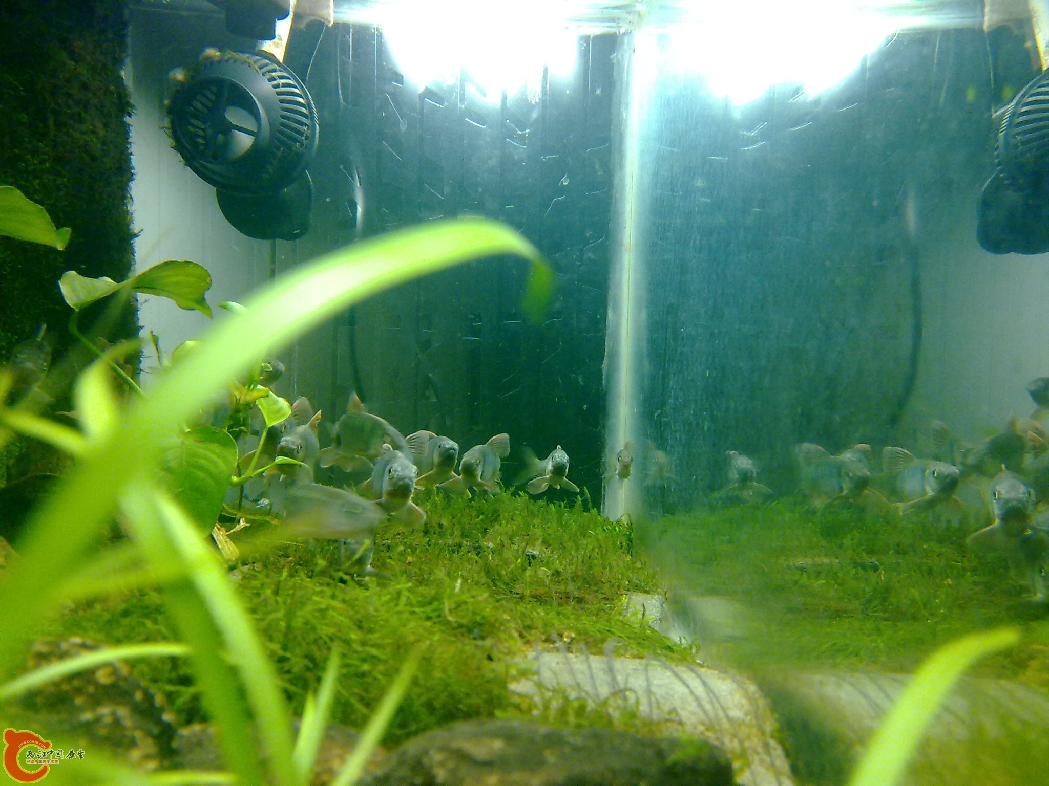 20100611976.jpg
