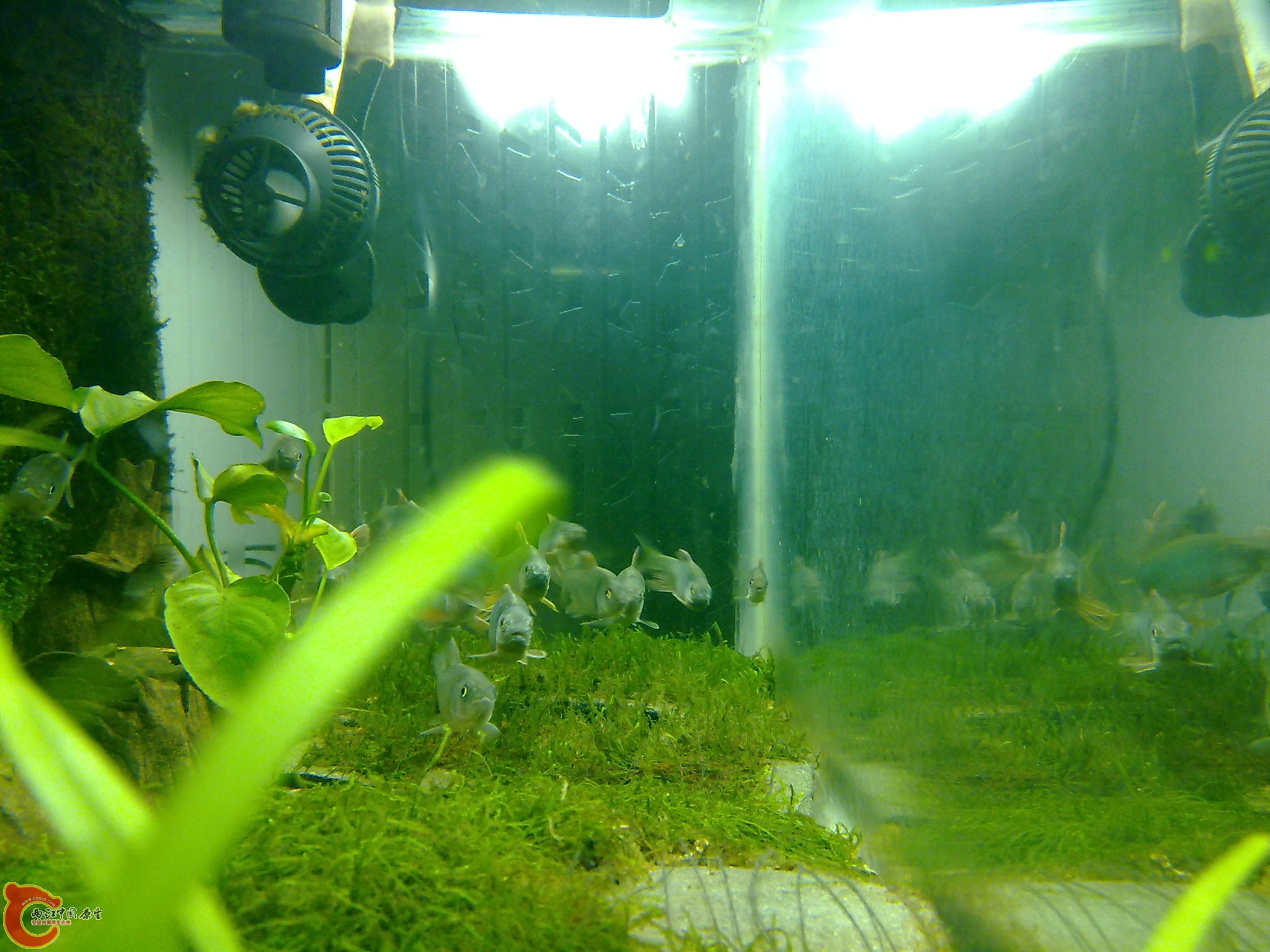20100611975.jpg