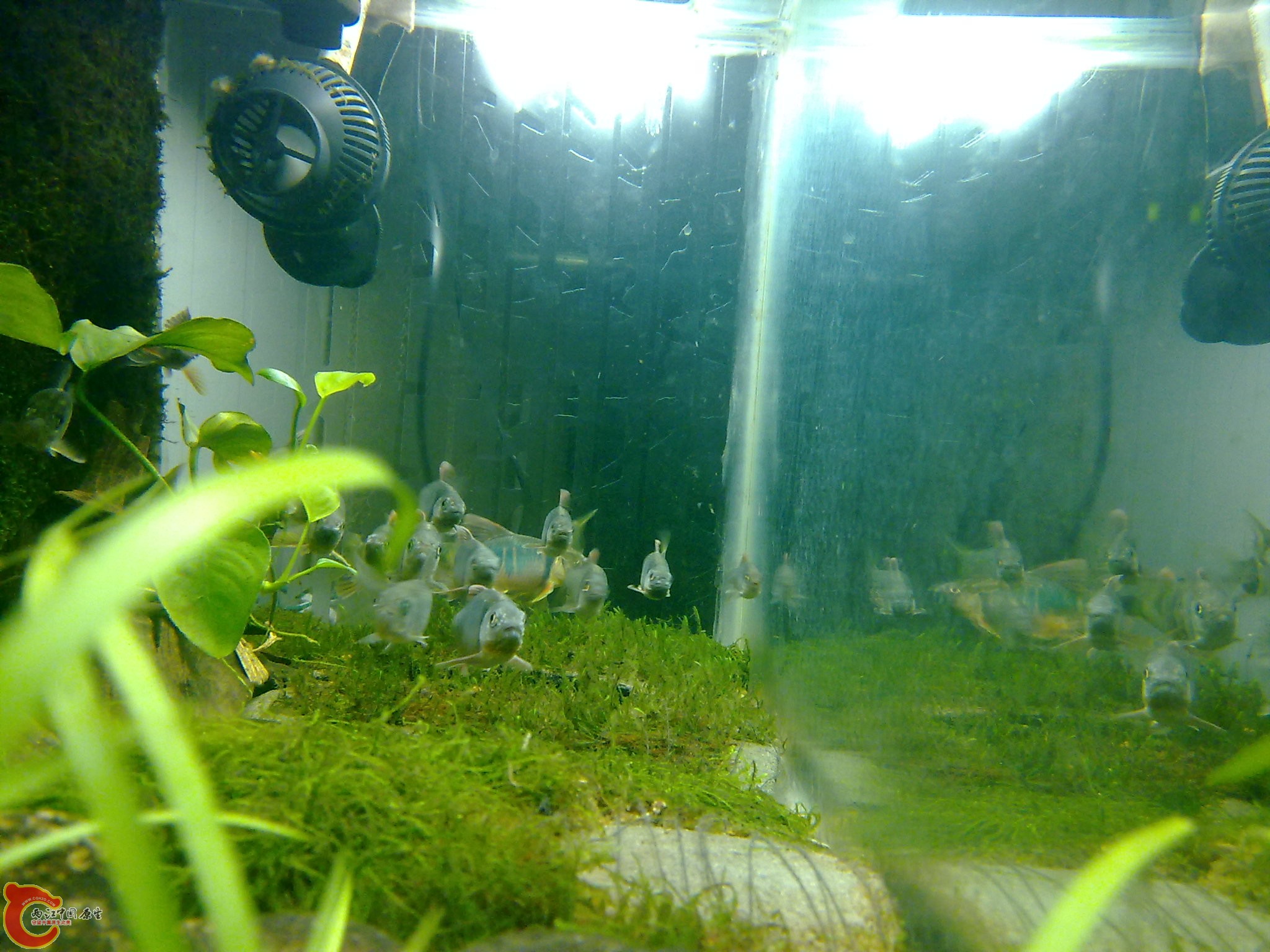 20100611977.jpg