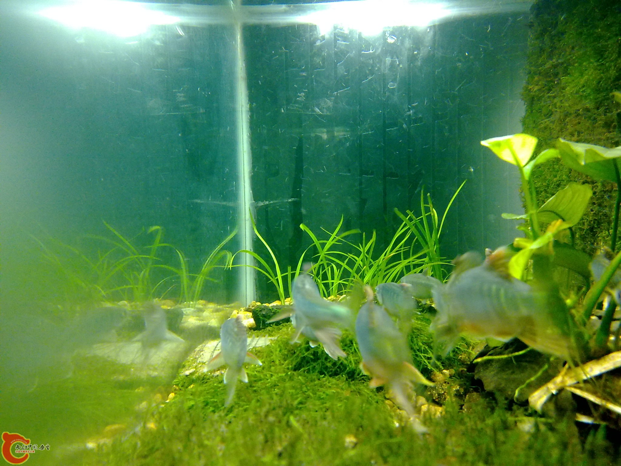 20100611983.jpg