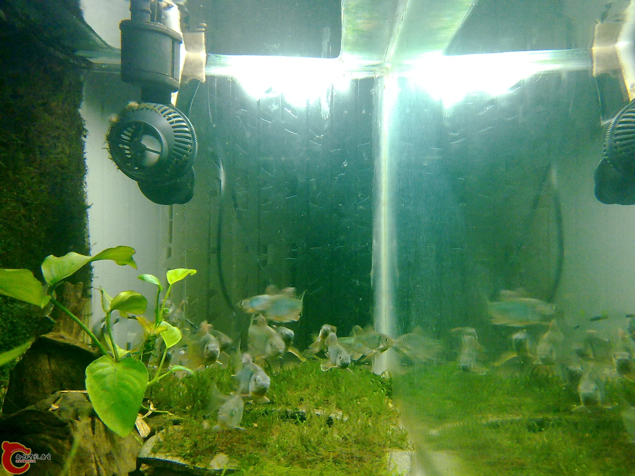20100611980.jpg