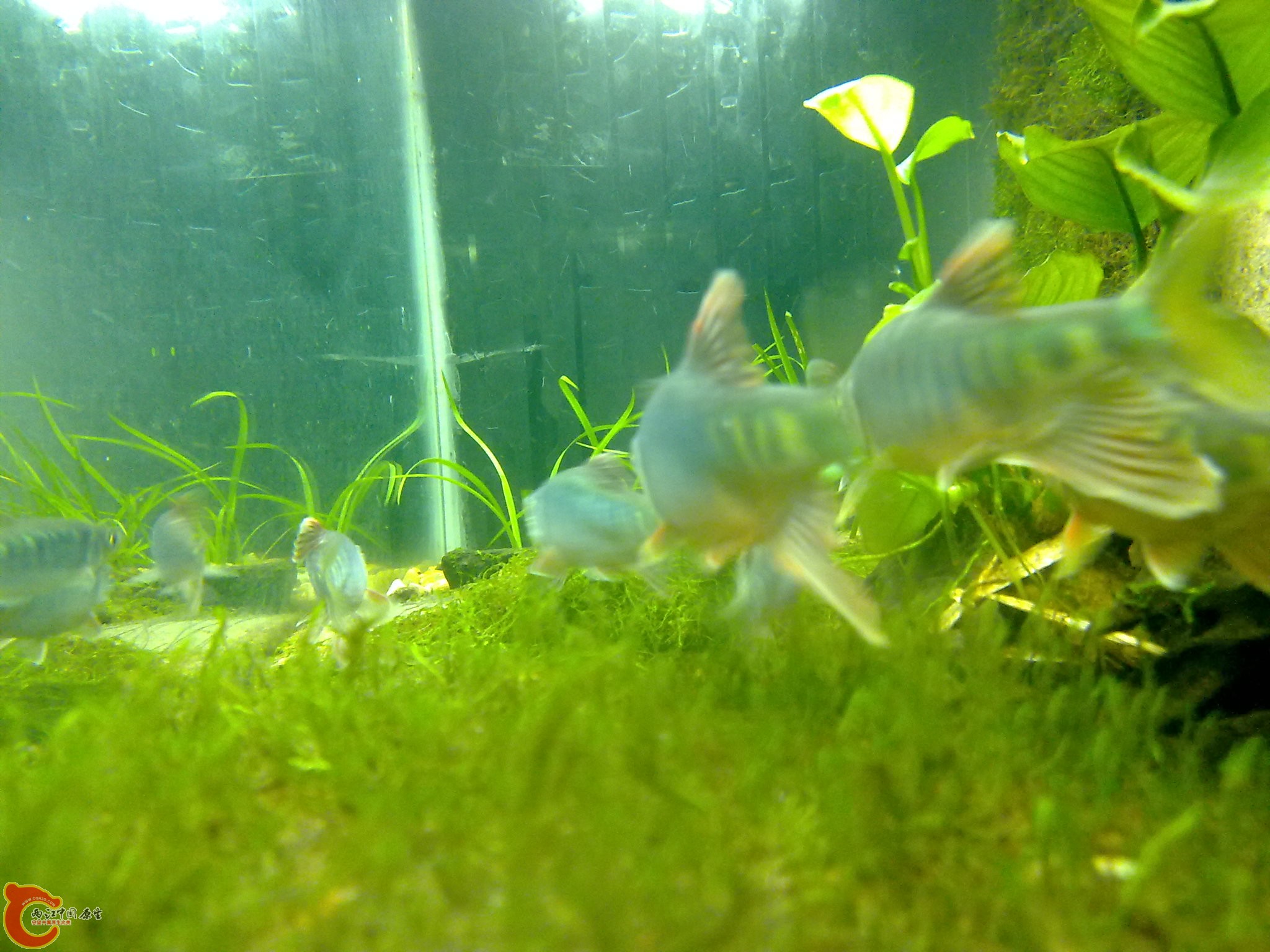 20100611982.jpg