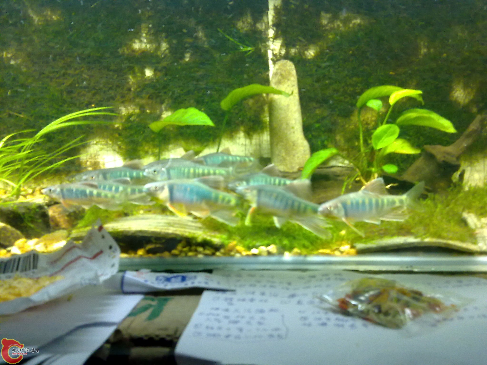 201006161057.jpg