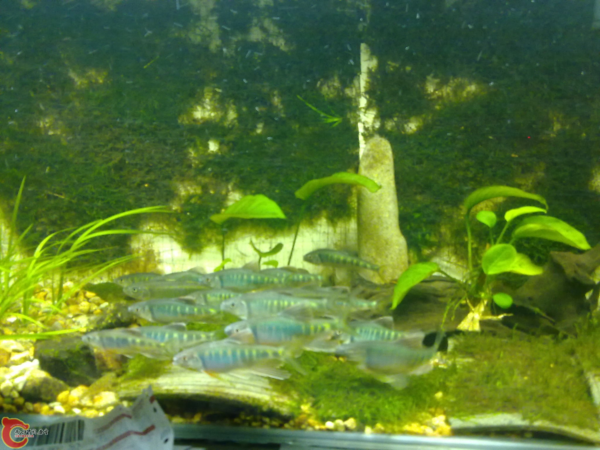 201006161058.jpg