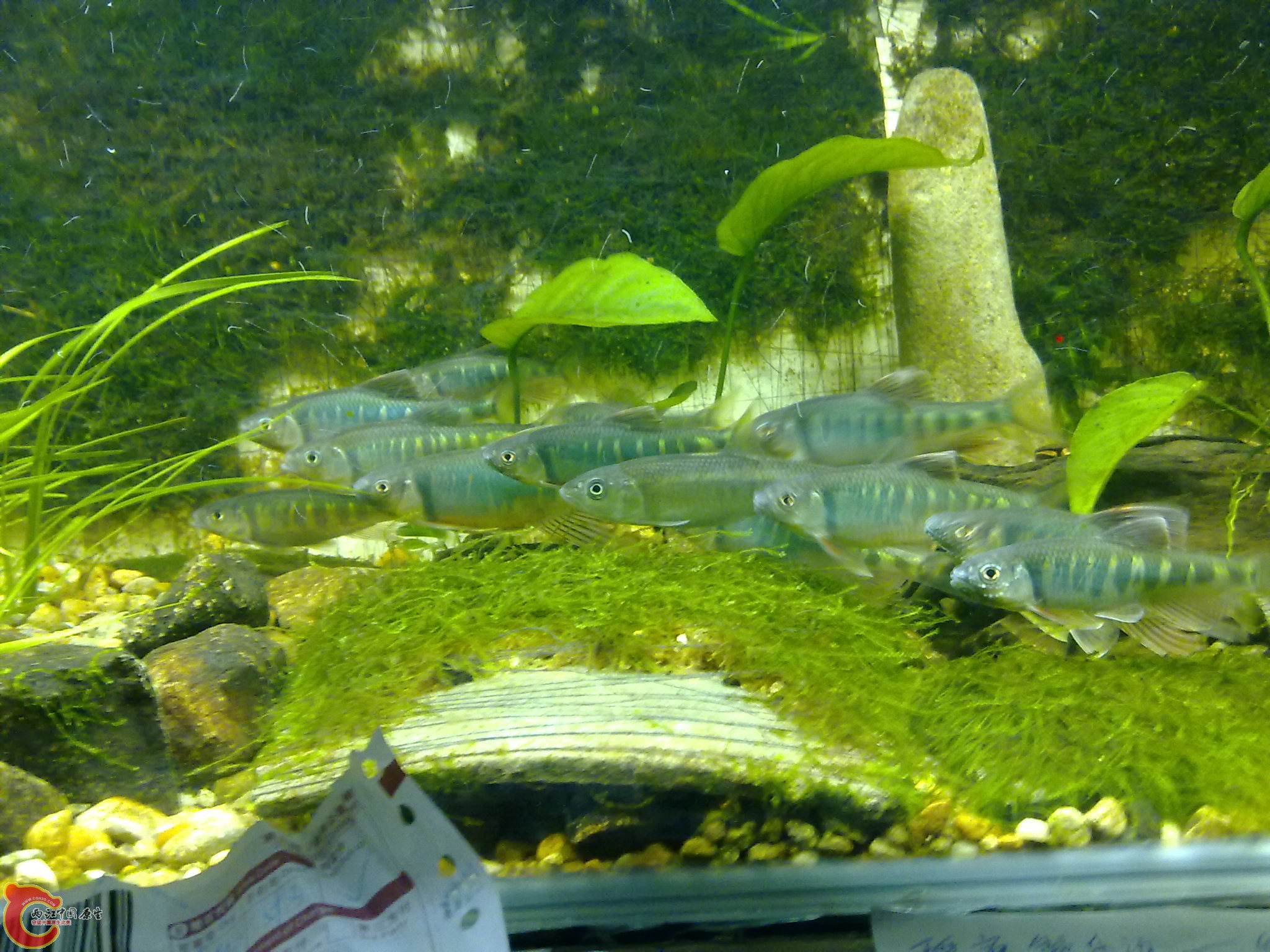 201006161063.jpg