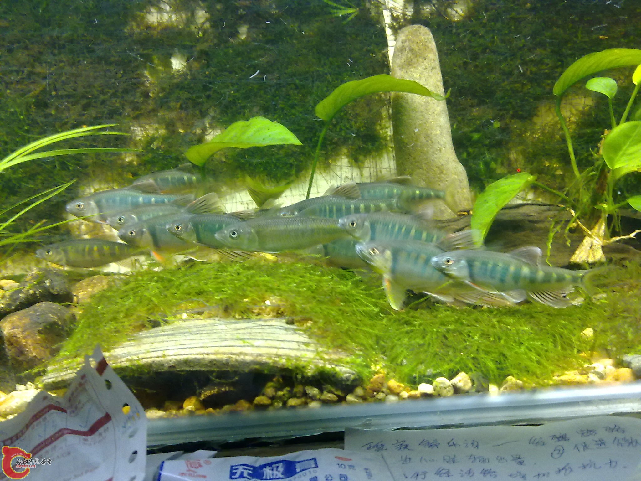 201006161064.jpg