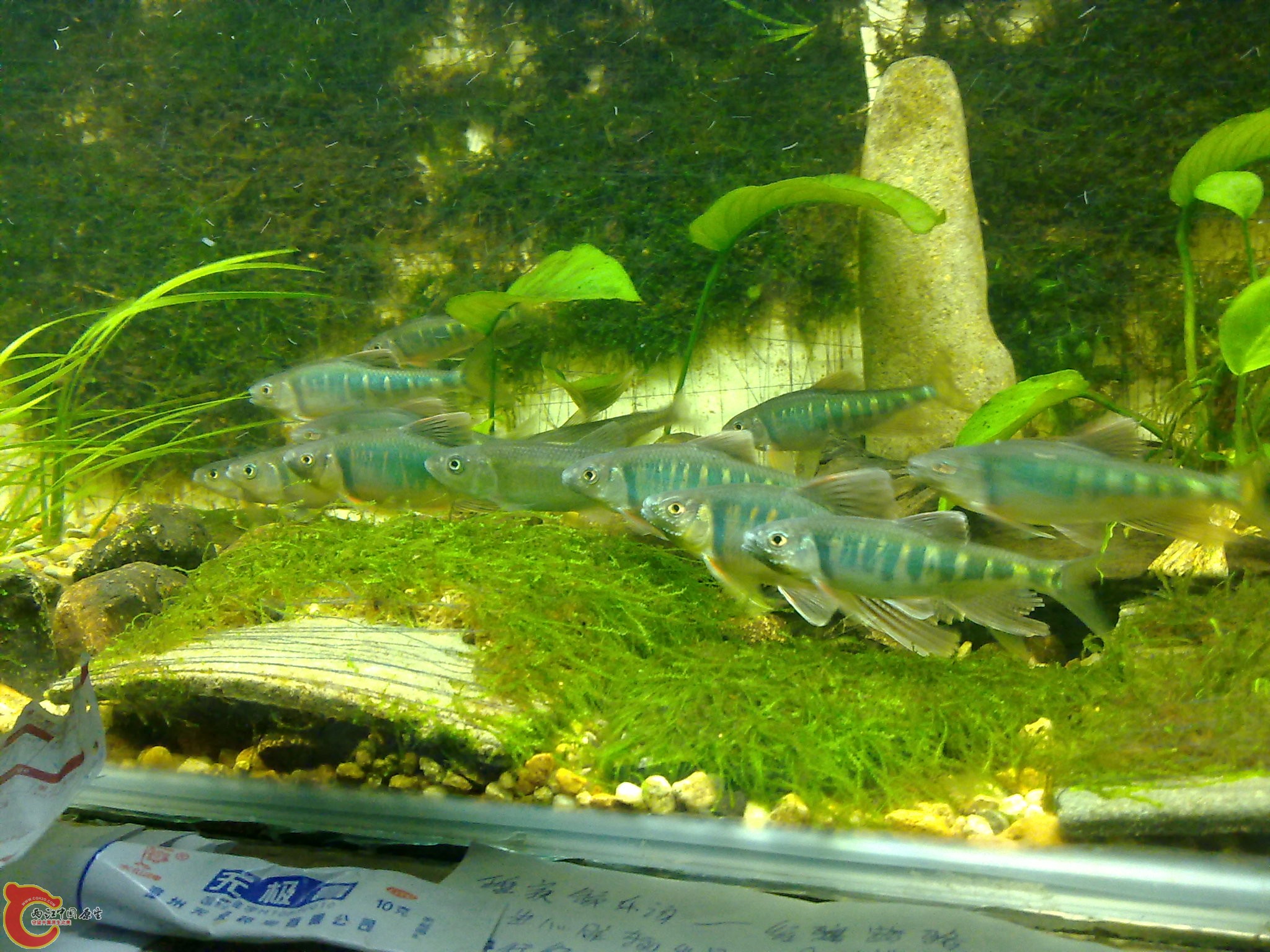 201006161067.jpg