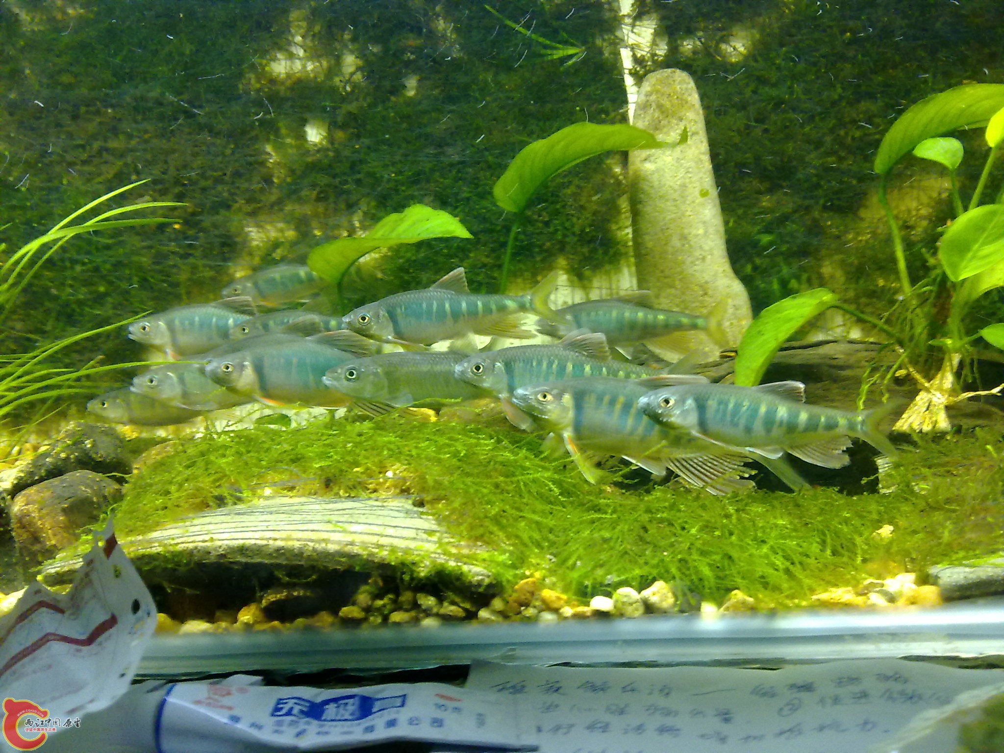 201006161069.jpg