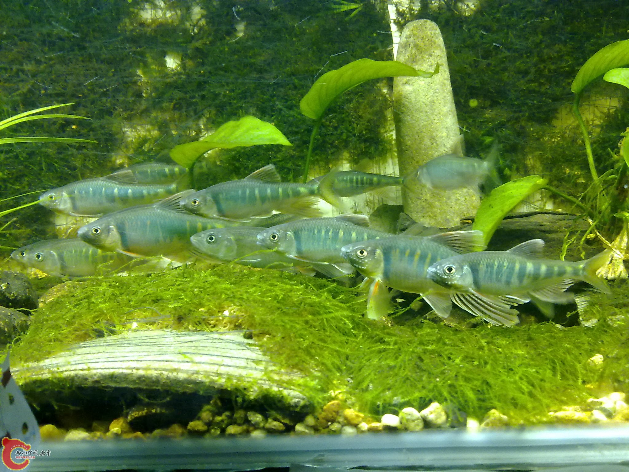 201006161070.jpg