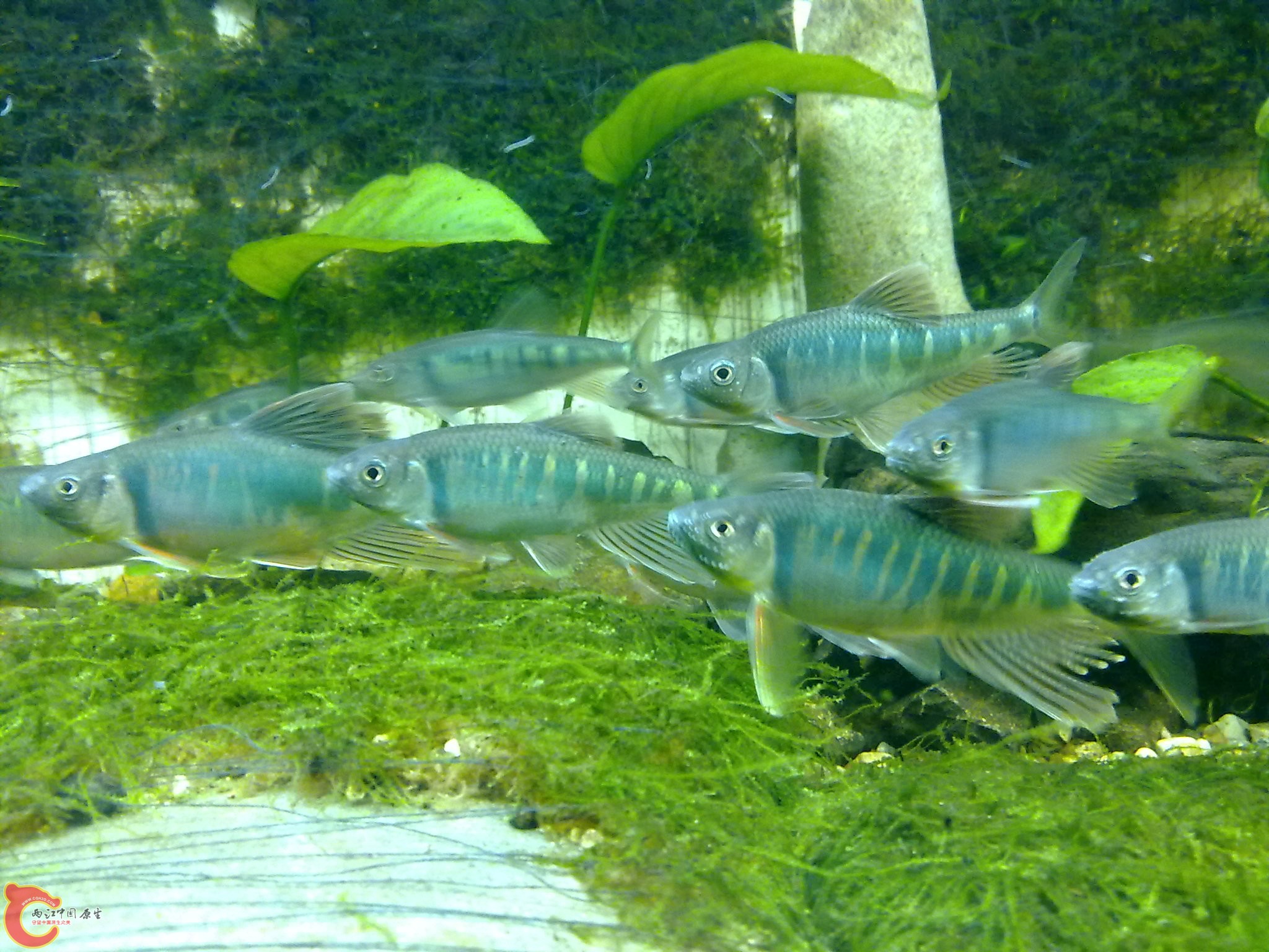 201006161073.jpg