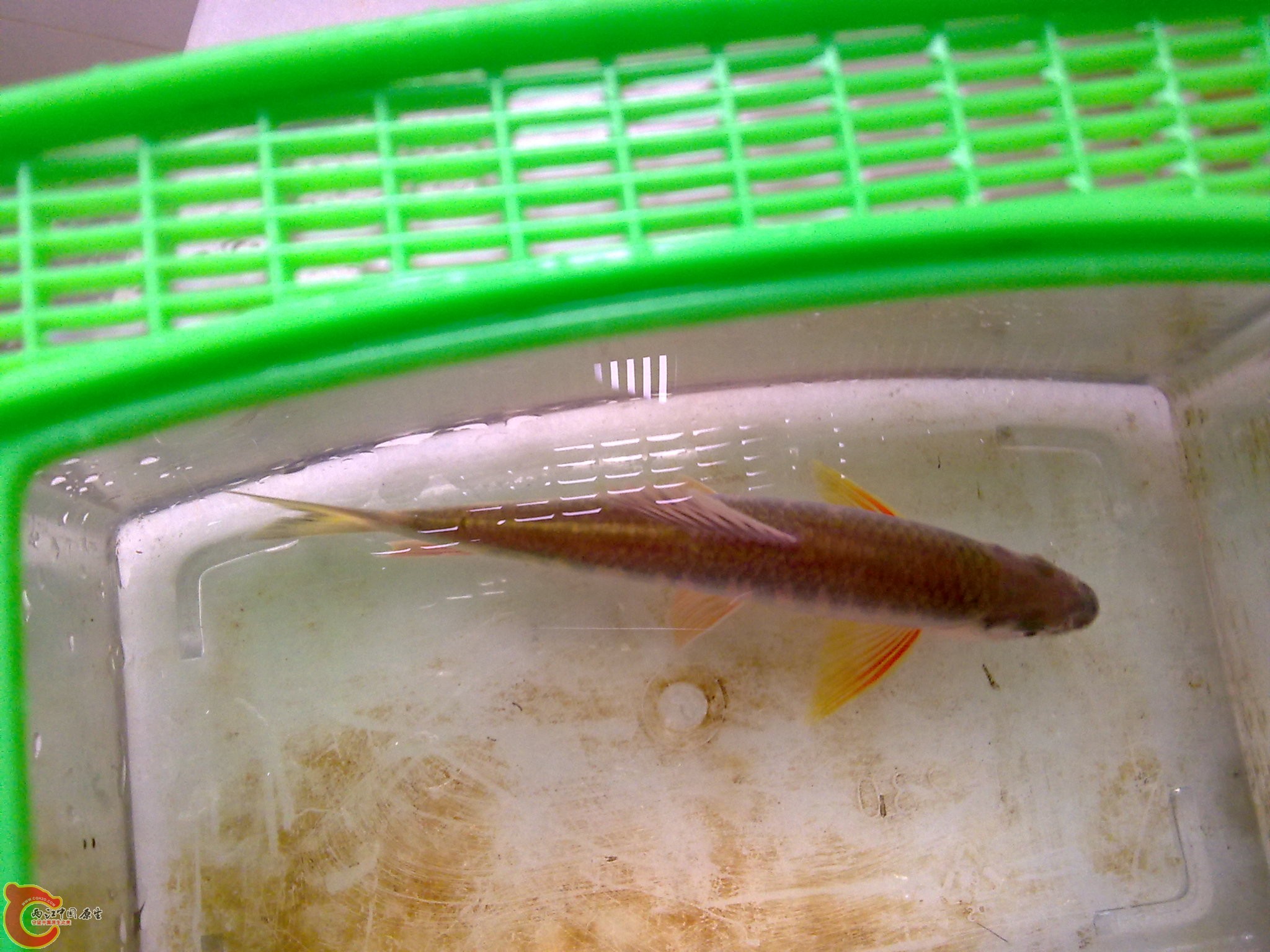 20100609878.jpg