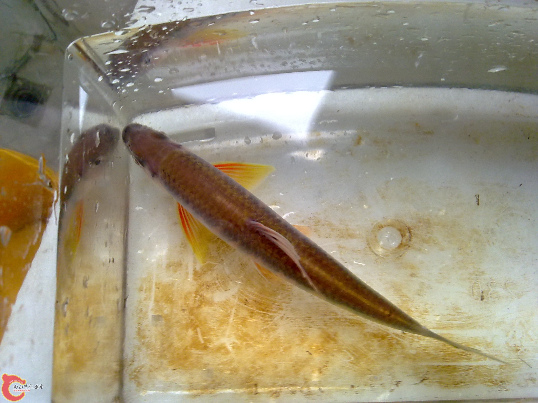 20100609883.jpg