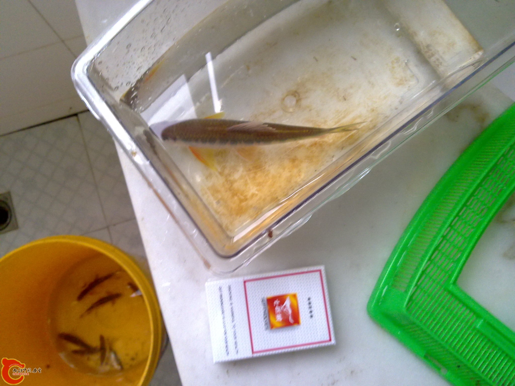 20100609889.jpg