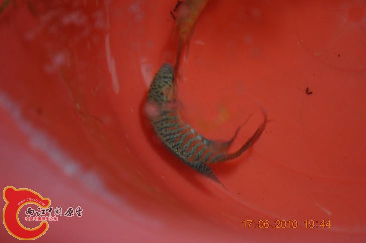 DSC_1288.JPG