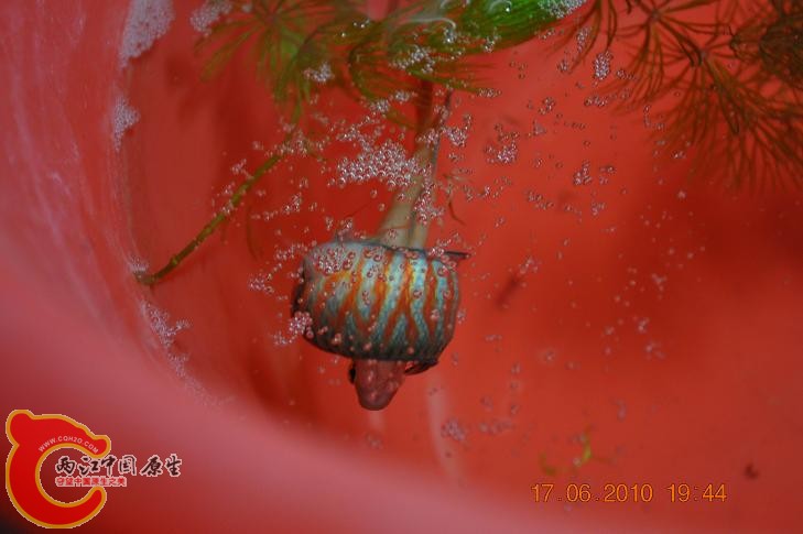 DSC_1286.JPG