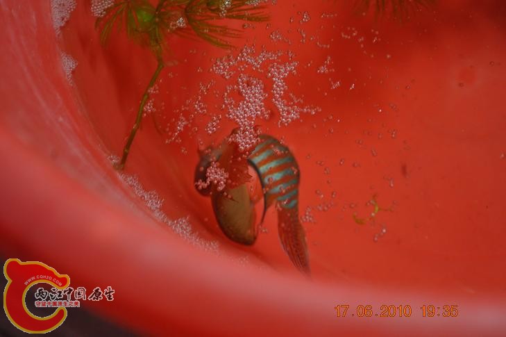 DSC_1277.JPG
