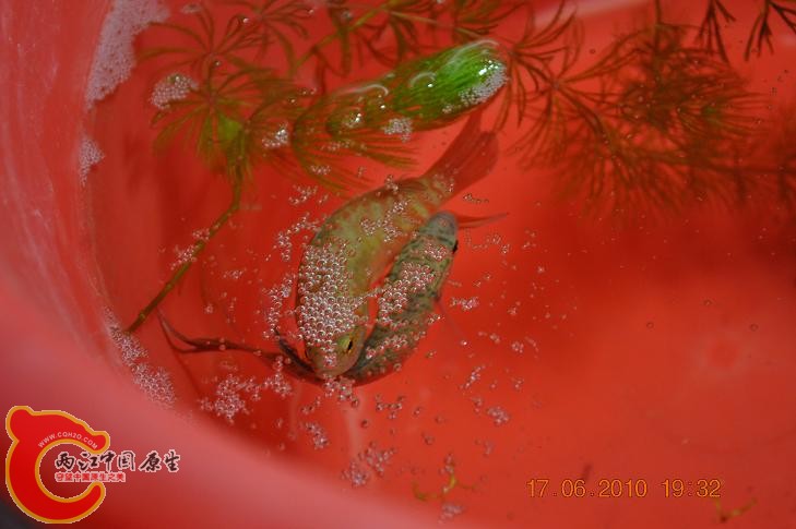 DSC_1275.JPG