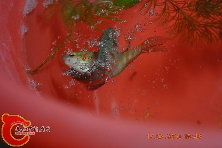 DSC_1284.JPG