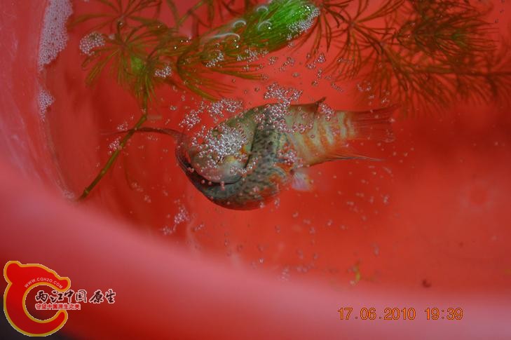 DSC_1279.JPG