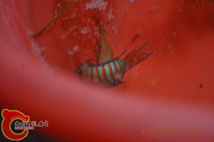DSC_1287.JPG
