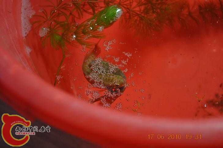 DSC_1272.JPG