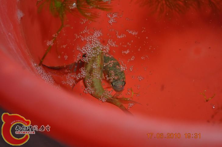 DSC_1274.JPG
