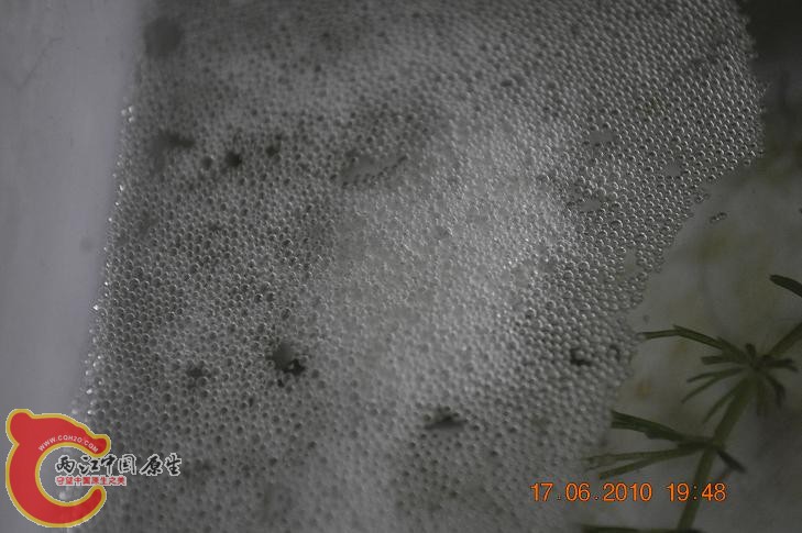 DSC_1290.JPG
