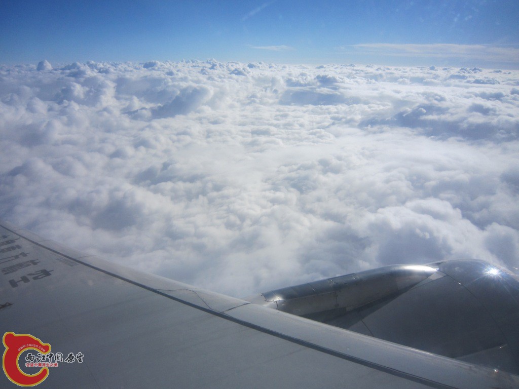 IMG_2683.JPG