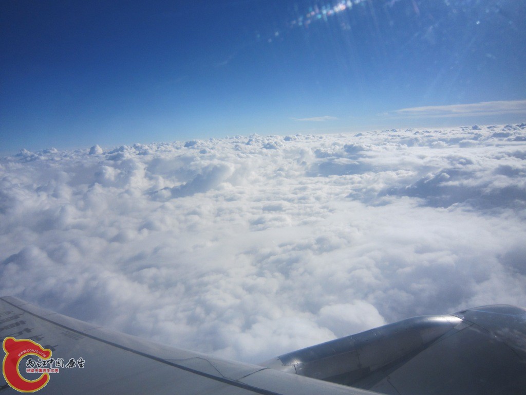 IMG_2684.JPG